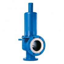 Leser Safety Valve 441